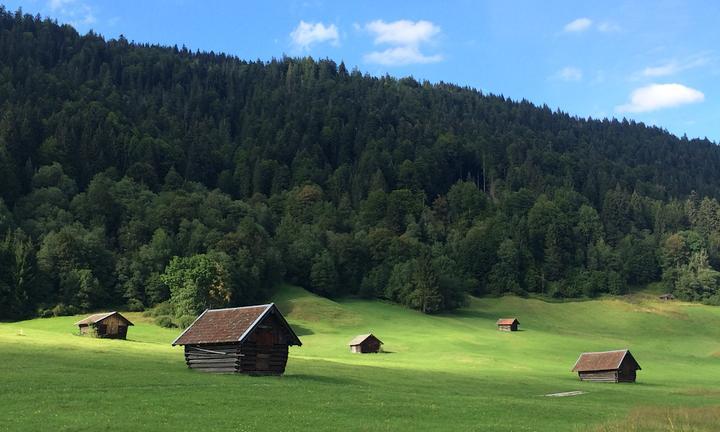 Alpenbiomarkt